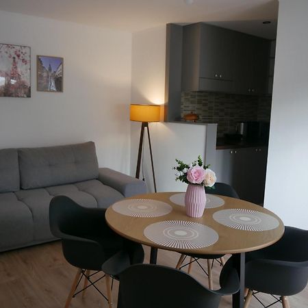 Free Garage In The Center-Delicia 4 Studio! Hermannstadt Exterior foto